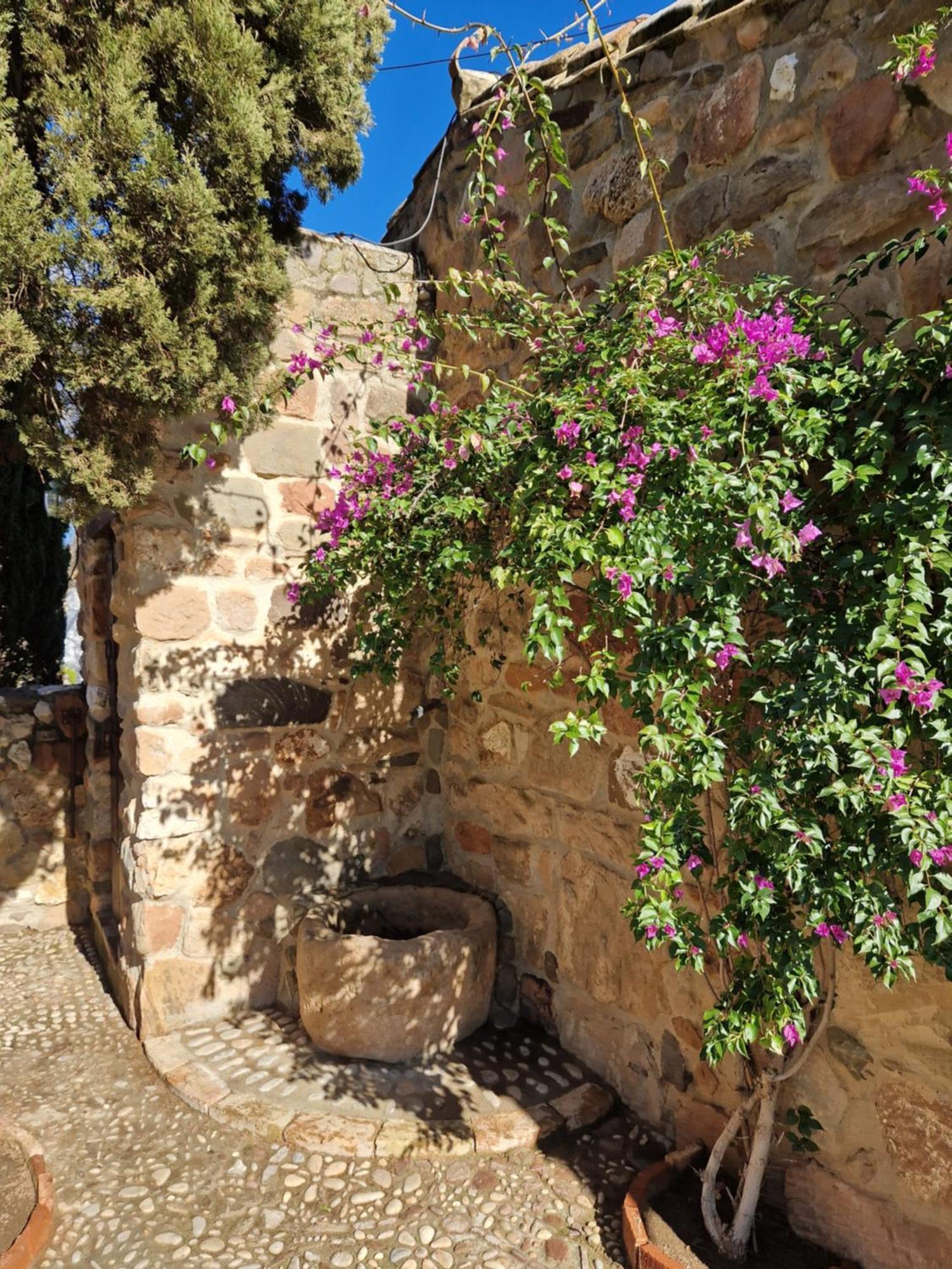 Colonos Alojamientos Rurales Guarromán Exterior foto